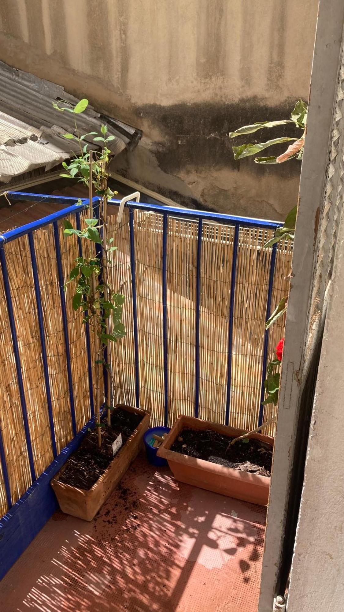 Pied A Terre Mediterraneen ! Marsilya Dış mekan fotoğraf